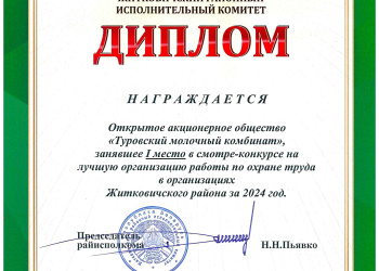 Диплом в смотр-конкурсе на лучшую организацию работы по охране труда в организациях Житковичского района за 2024 год. 