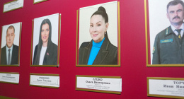 Bonfesto: качество и экология в гармонии